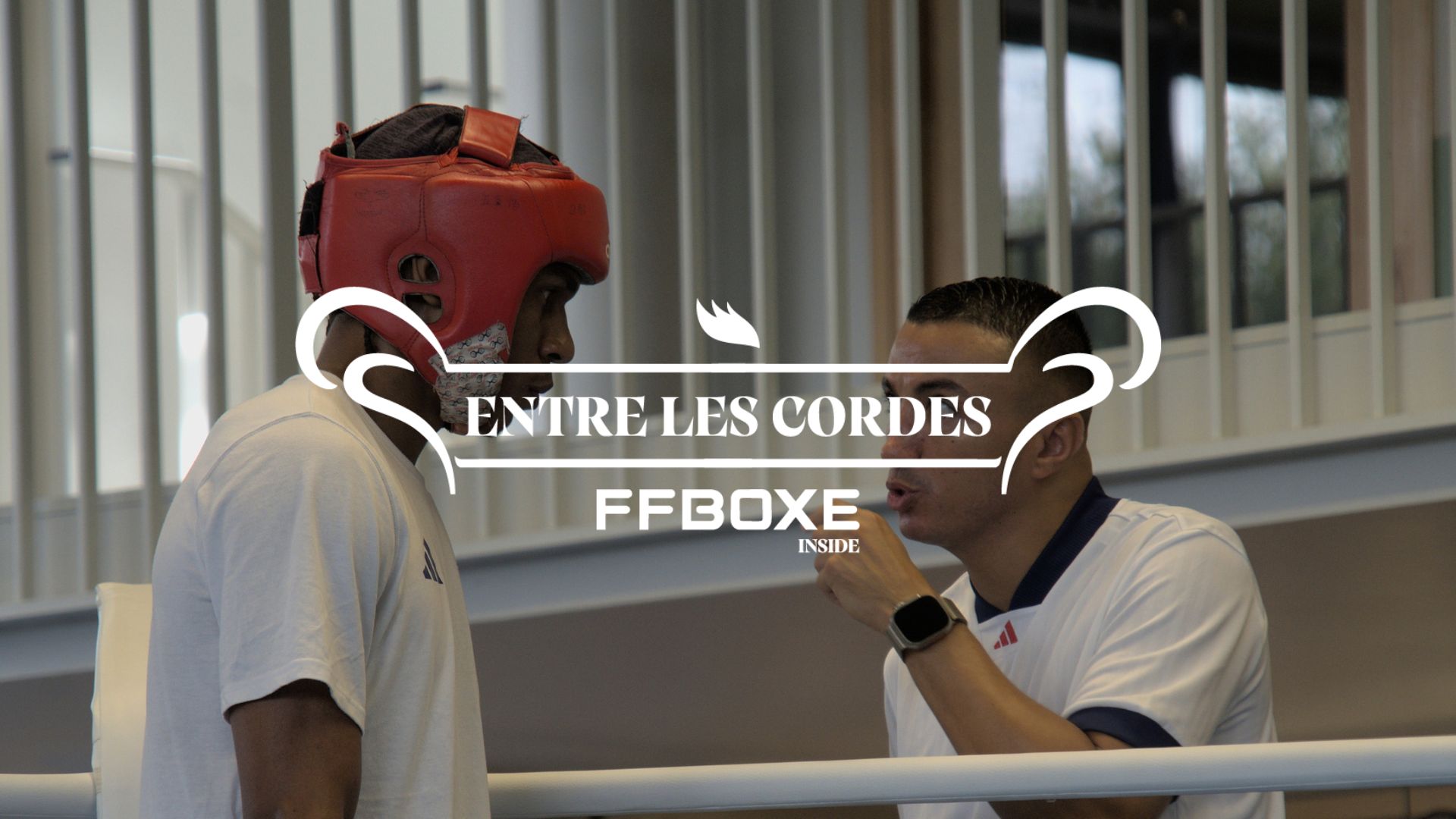 Visuel publié par la FFBoxe